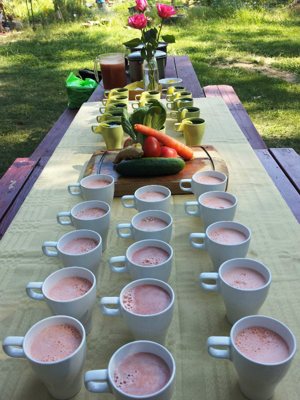 Juicing retreat with cups lined up on table ready to drink