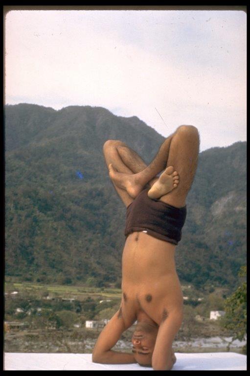 yoga pose 1 headstand