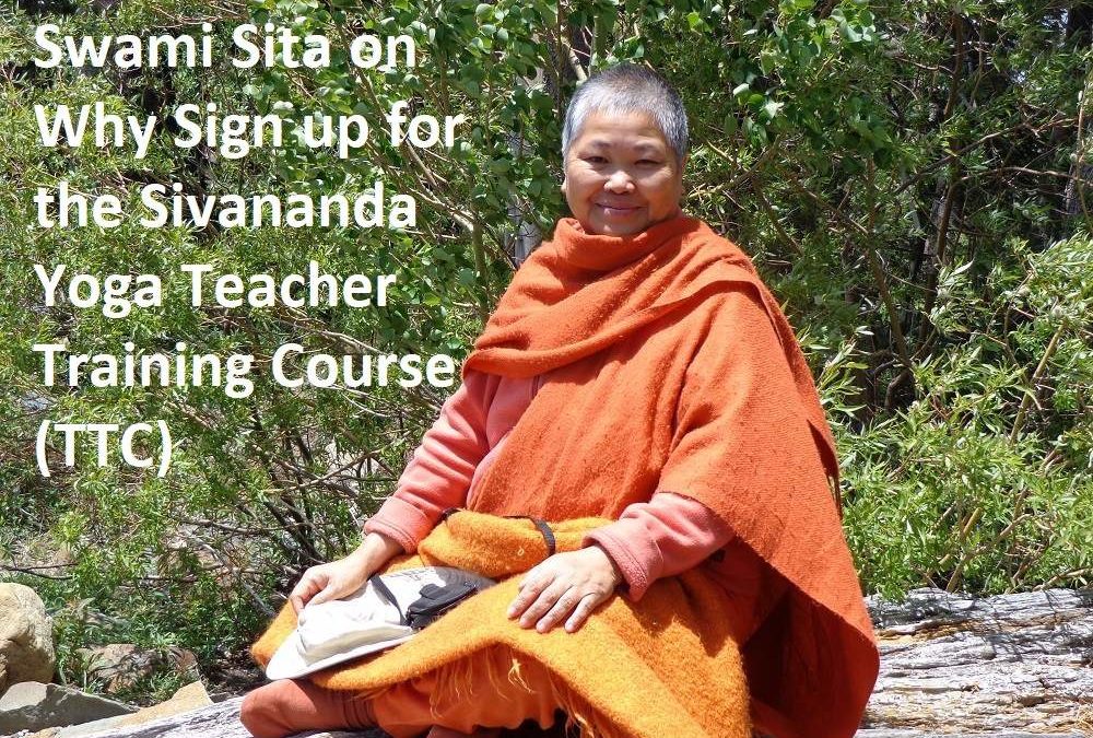 Why sign up for the Sivananda Yoga Teacher Training Course?