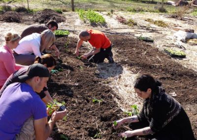 garden-group-planting-yoga-farm