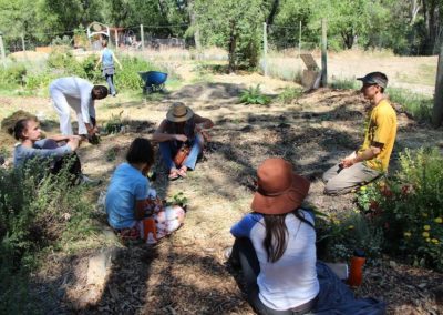 garden-permaculture-workshop
