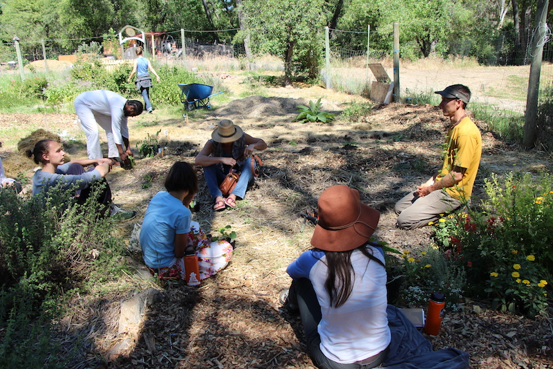 Permaculture Design Certification Course students in California learn about food production in the garden.
