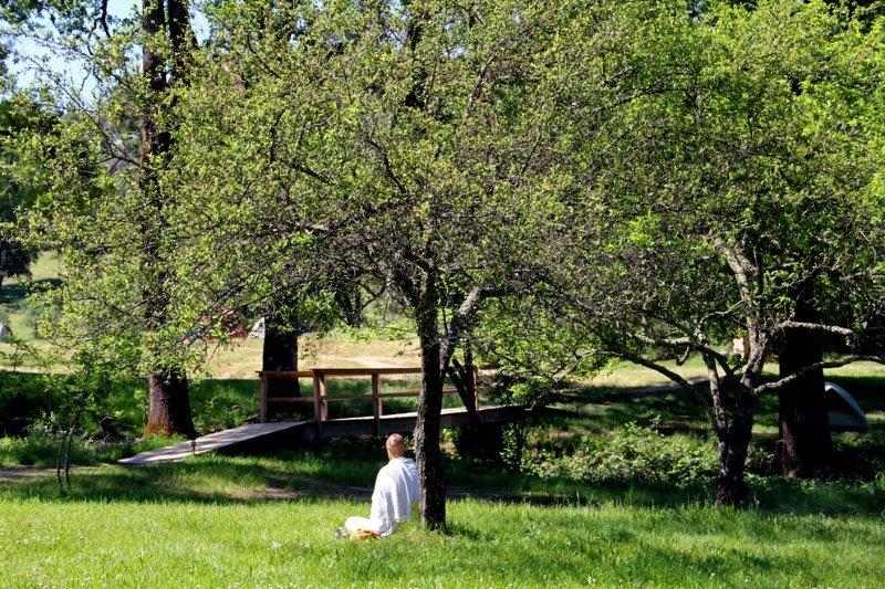 Yoga Vacation guests can explore and connect with nature by meditating under trees.