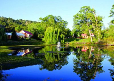 sivananda-yoga-farm-beautiful-pond-scene