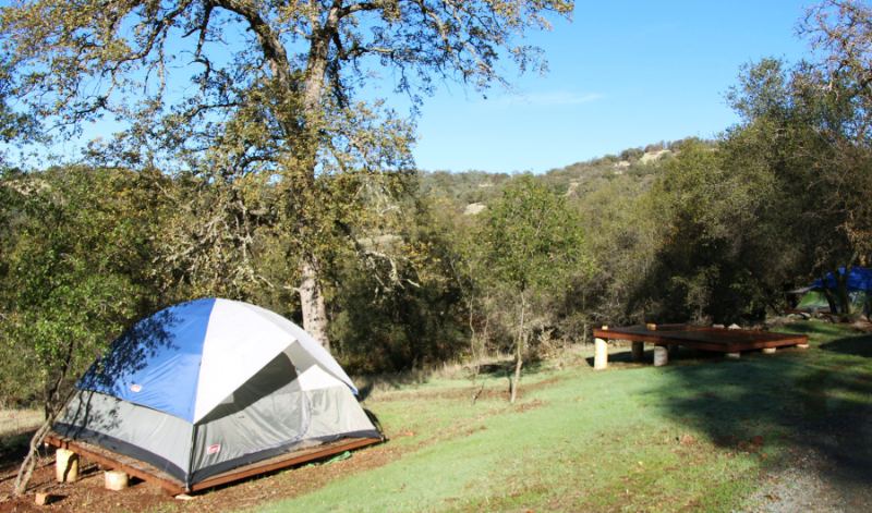 One Yoga Farm Accommodation option is to set up a tent and sleep under the stars.