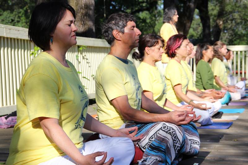 Students Meditate on yoga platform