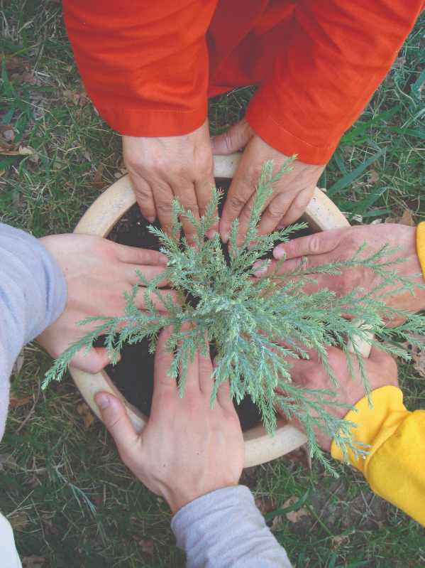 6 hands together in a circle planting a tree in the earth