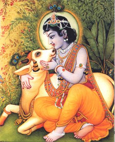 young Krishna - Gopala - sitting with a cow and happy