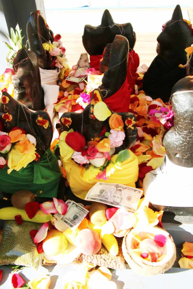 Puja offering at the 9 planets shrine with new cloths, flowers, powders and offerings