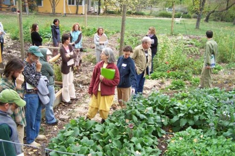 Permaculture Design Certification Course students in California learn about food production in the garden.
