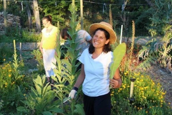 Permaculture students work in the Yoga Farm garden in Grass Valley, California.