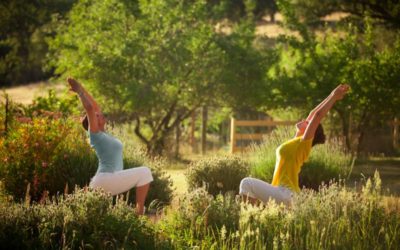 Yoga and Permaculture Ethics