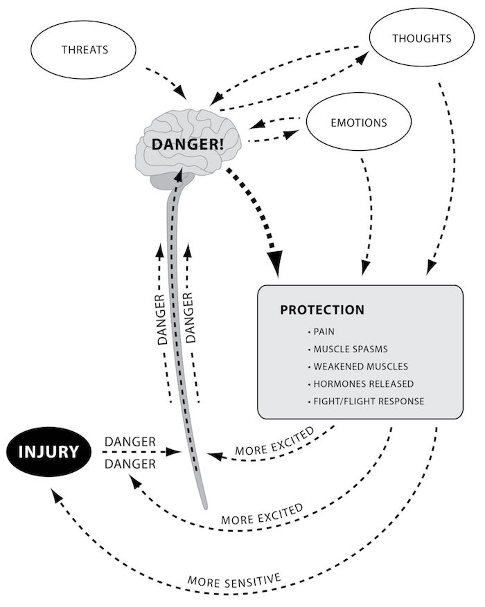Illustration showing the brain and brain stem in the center, with threats, thoughts, and emotions coming at the brain.  Injury is shown at the bottom sending danger signals to the brain.                             