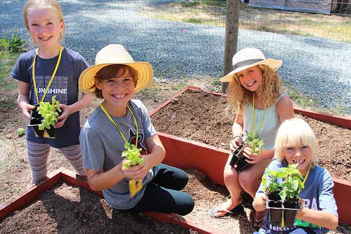 Children from Yoga Kids Camp have fun transplanting lettuce in the garden.