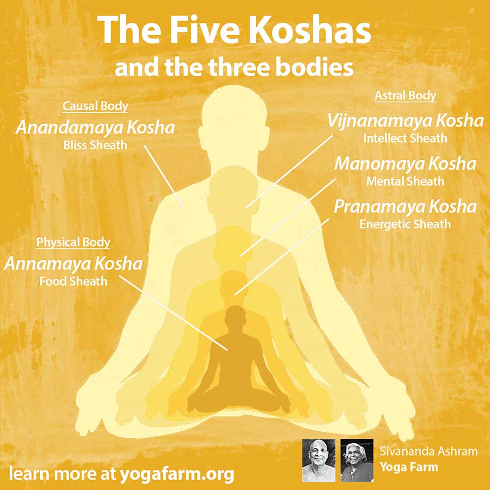 A graphic illustrating the three bodies and the five koshas: Physical Body, Astral Body, Causal Body. Annamaya kosha, Pranamaya kosha, Manomaya kosha, Vijnanamaya kosha, and Anandamaya Kosha.