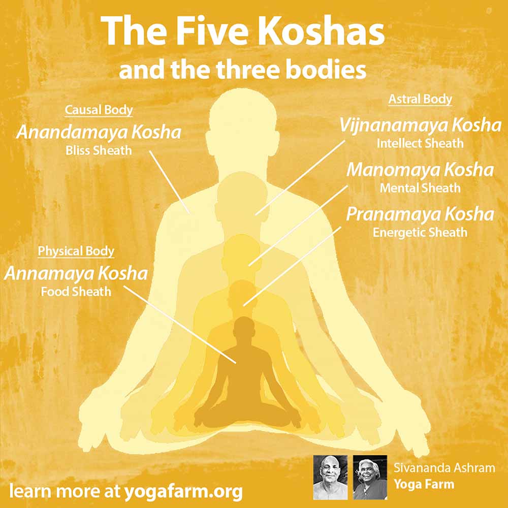 5 Koshas: Anandamaya Kosha - The Connected Yoga Teacher