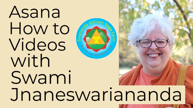 Asana How To Videos