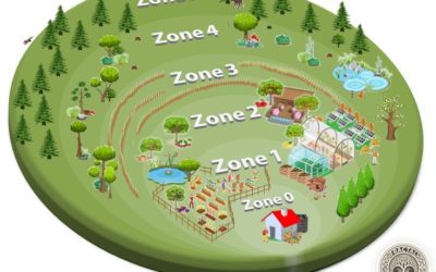 What are the Permaculture Zones?