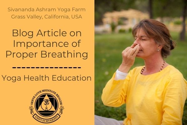Yoga Health Education: Importance of Proper Breathing