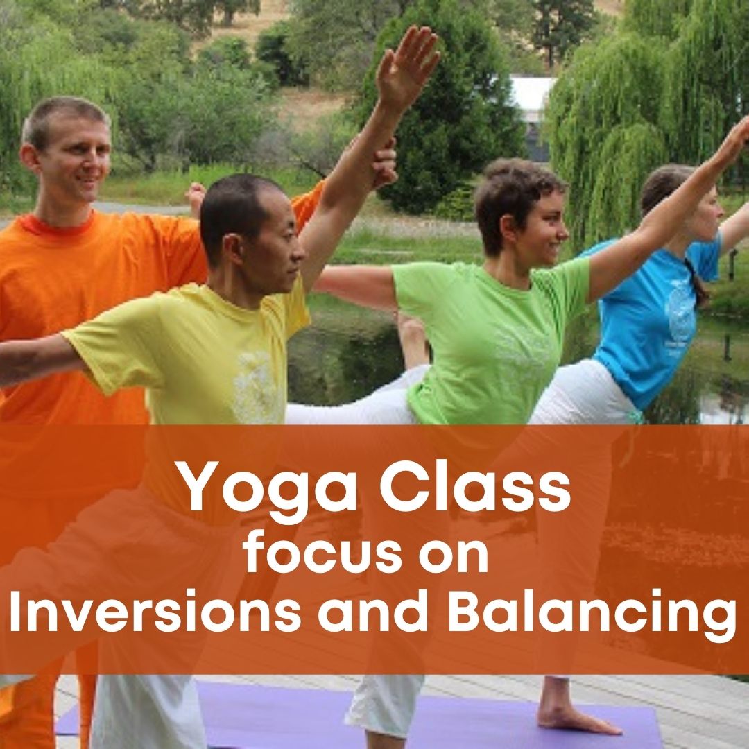 Sivananda Yoga Class with focus on Inversions and Balancing poses