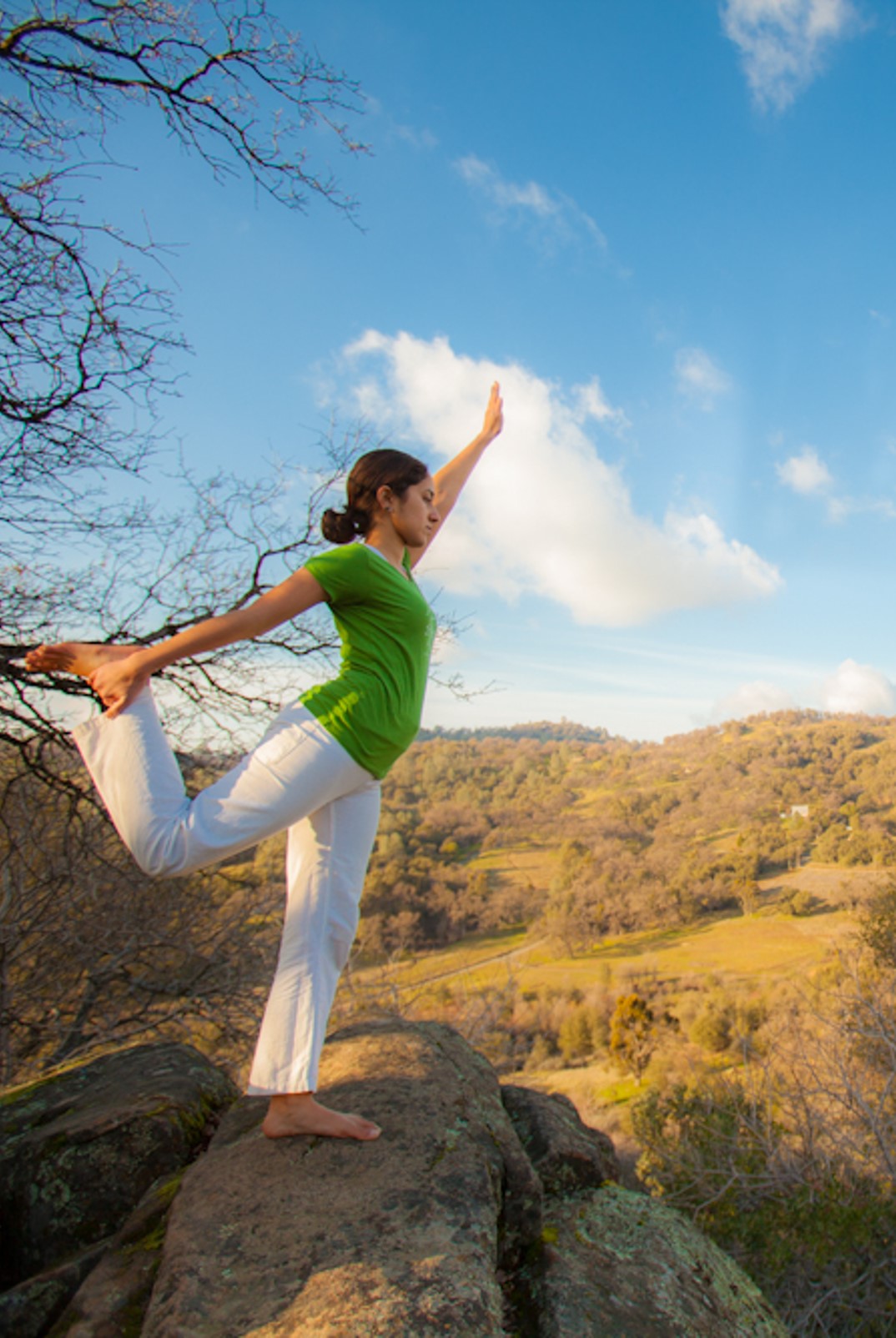 Beginners yoga courses teach the foundational practices of Sivananda