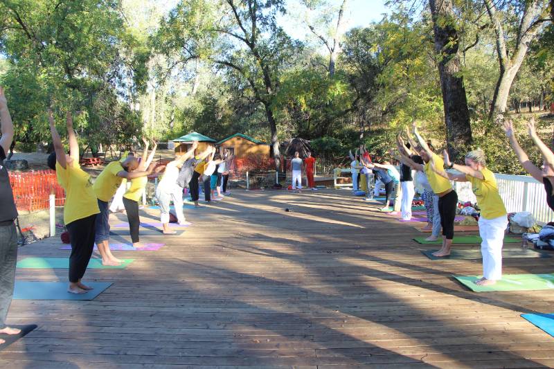 Curious about what a Sivananda Yoga Teachers' Training Course at the  Tapaswini Ashram is all about? TTC student Paul shares what to expect…